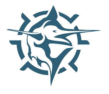 AMIT_Logo